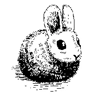 Hare's first versioned release, 0.24.0