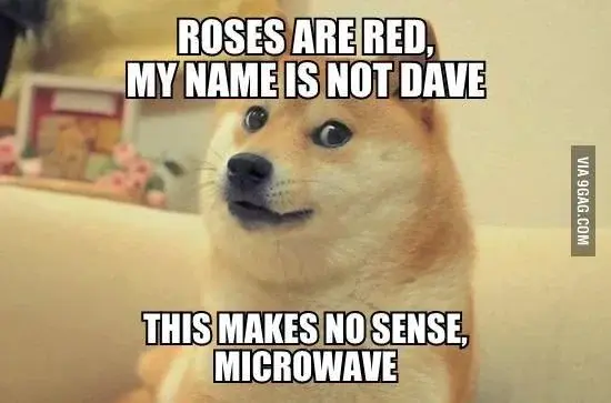 wow such doge