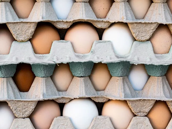 New Study Finds Eating Eggs May Not Increase Cholesterol Levels