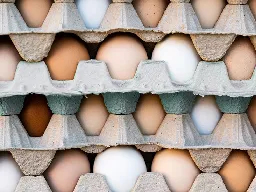 New Study Finds Eating Eggs May Not Increase Cholesterol Levels