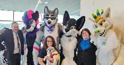 Furries raise $100,000 for Pittsburgh-area rescue dedicated to senior dogs