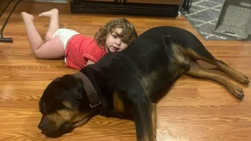 Missing toddler found sleeping in woods using her dog as a pillow after walking 3 miles barefoot | CNN