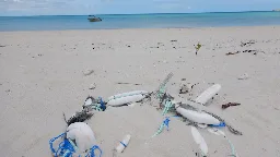 Schoolchildren to help fight plastic pollution in Cook Islands - ABC Pacific