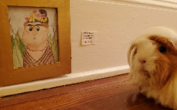 From Shoebox to White Cube: A Roundup of Homemade Pet Museums