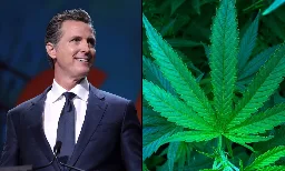 California Governor Unveils Emergency Rules To Ban Hemp Products With Any 'Detectable Amount' Of THC - Marijuana Moment