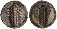 Silver coin from Metapontum, Southern Italy, 550-470 BCE