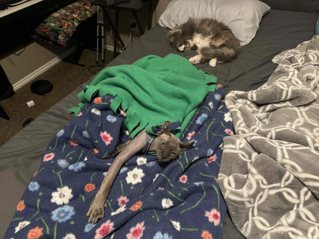 seriously, what do you want