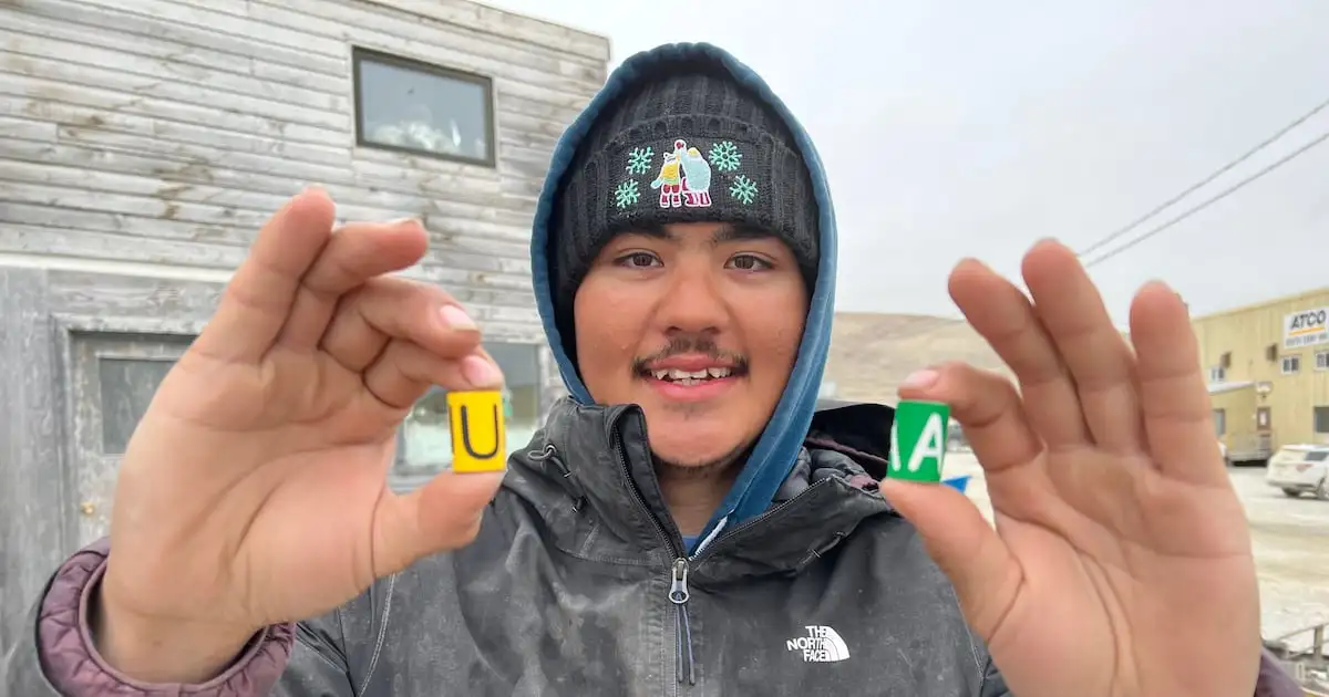 ‘It tasted good’: Inuit hunter eats brent goose being tracked by Irish schoolchildren