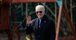 Inside the 'weird' write-in campaign needed to help Biden win New Hampshire