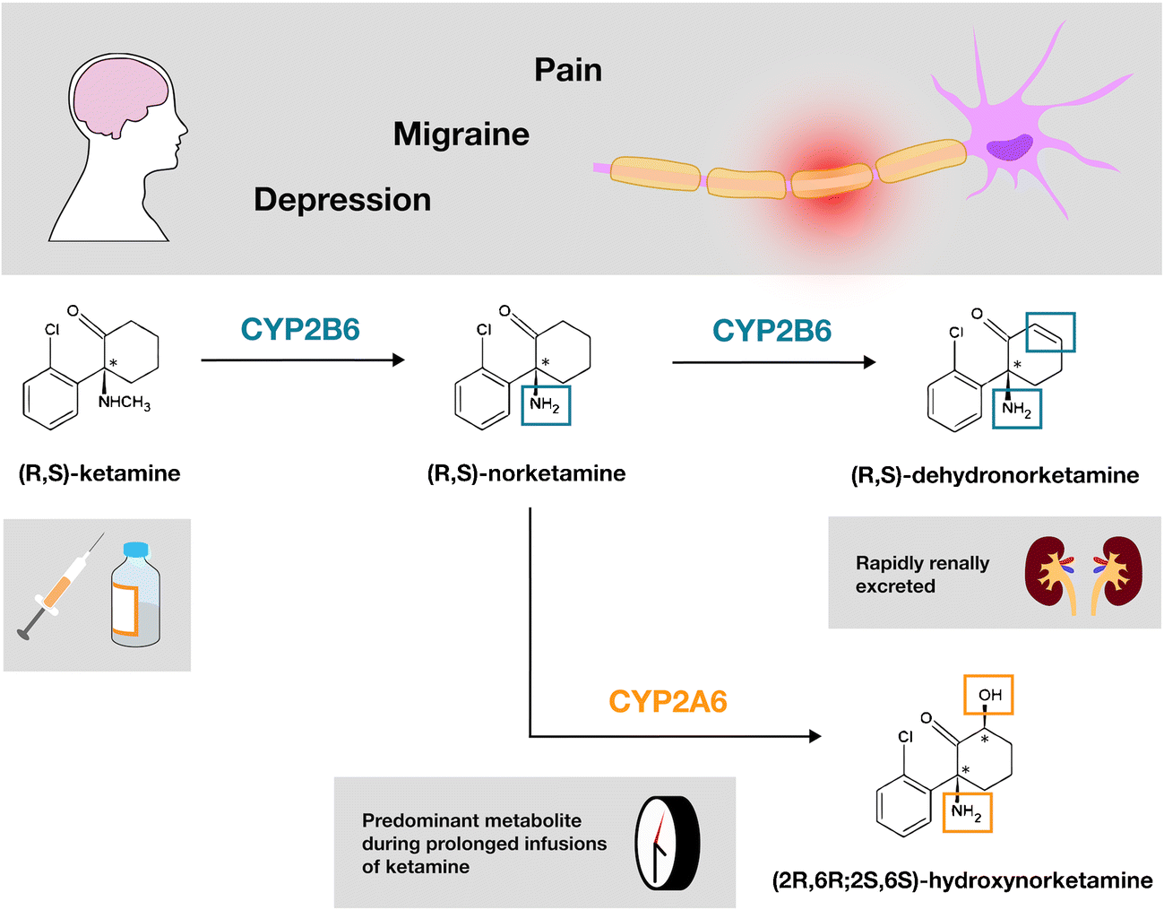 Ketamine in the Past, Present, and Future: Mechanisms, Metabolites, and Toxicity - Current Pain and Headache Reports