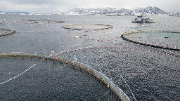 The world’s hunger for salmon is linked to an ecological disaster