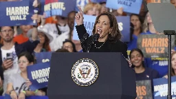 Harris promises to 'represent all Americans' after Biden's remark on Trump supporters and 'garbage'