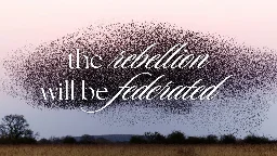 The rebellion will be federated — Elena Rossini