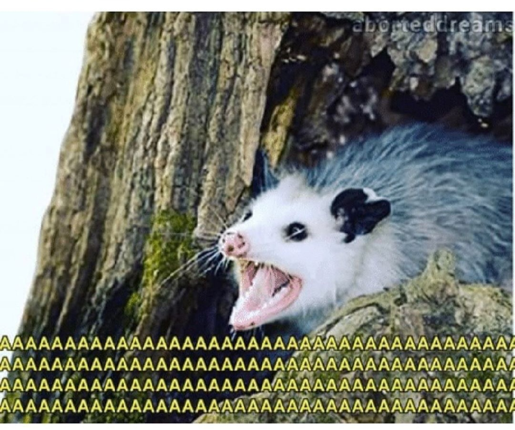 6c6666e4aa6636c1fd36873543389f40-4015849057