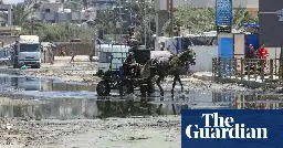 Highly infectious poliovirus found in Gaza sewage samples