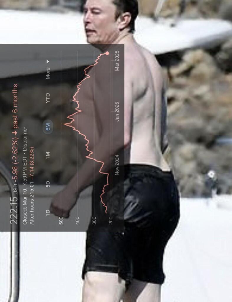 TSLA gonna rebound. Proof: