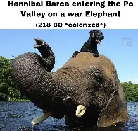 Hannibal, you magnificent bastard!