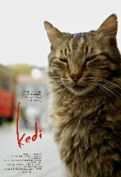 Kedi (2016) ⭐ 7.6 | Documentary