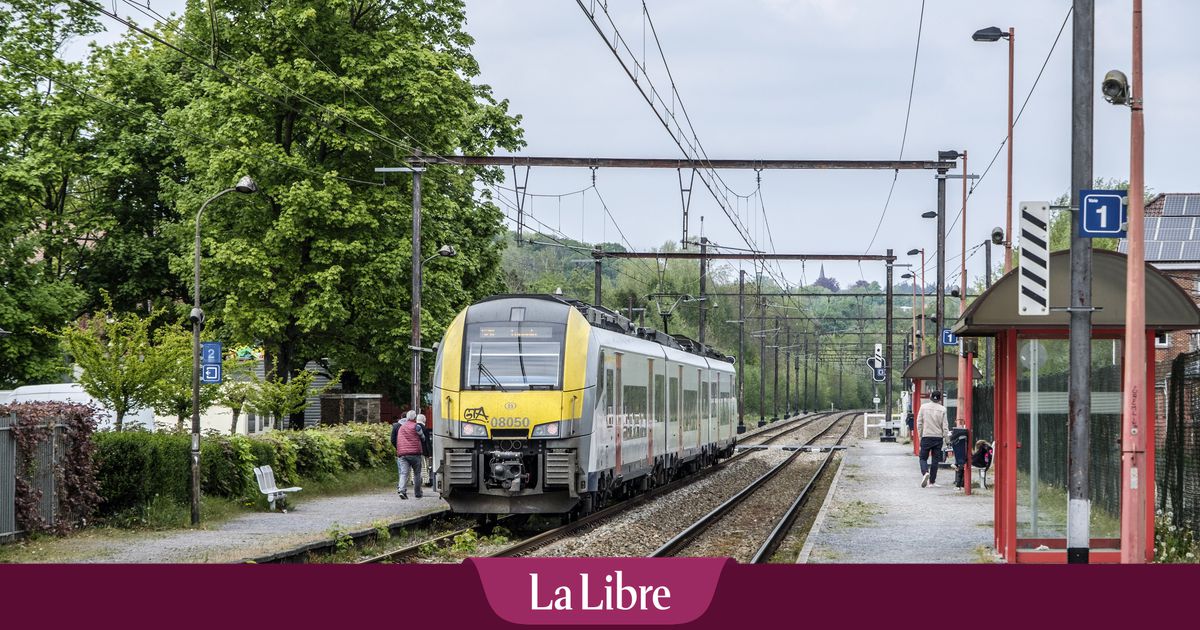 Une enquête révèle que la SNCB et Infrabel ont dépensé plus de 600 millions d'euros de frais de consultance entre 2020 et 2022