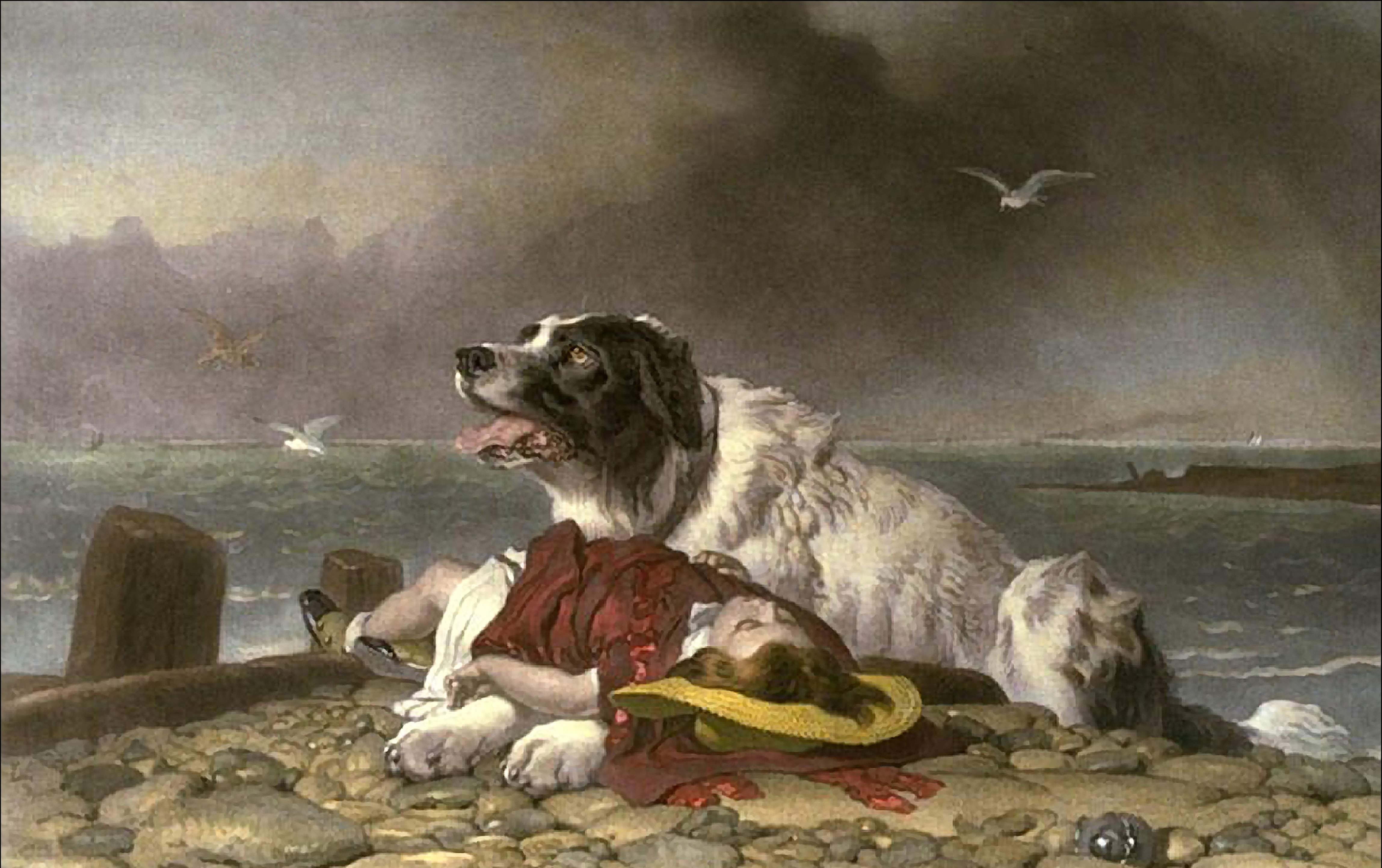 Saved - Edwin Landseer