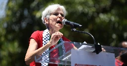 Stein leads Harris among Muslim voters in several swing states, new analysis finds