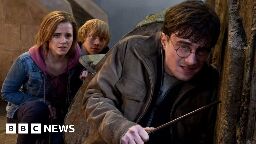 Enderby: Armed officers alerted to Harry Potter fan with wand