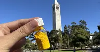 Half a pound of this powder can remove as much CO₂ from the air as a tree, scientists say