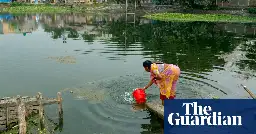‘Headaches, organ damage and even death’: how salty water is putting Bangladesh’s pregnant women at risk