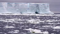 Antarctic sea ice levels dive in 'five-sigma event', as experts flag worsening consequences for planet