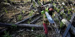 'Frightening': Over 1 in 3 of World's Tree Species Face Extinction | Common Dreams