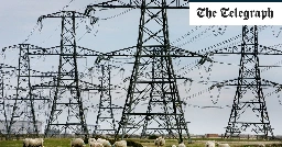 Octopus to build own electricity pylons in challenge to National Grid