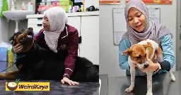 I'm A Muslim Vet Who Was Bashed For Touching Dogs. But It's My Passion & Duty To Treat Them | WeirdKaya