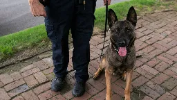 Polizist jagte Hund auf unbewaffneten Autofahrer und wird entlassen