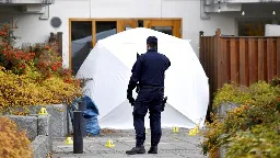 Gang warfare propels Sweden's homicide rate among Europe's highest