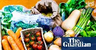 Vegan diet massively cuts environmental damage, study shows | Food