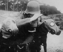 Rare photographs of war dogs with gas masks, 1915-1970