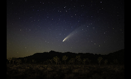 Organic Molecules Formed in Oort Cloud Comets: Ingredients for Early Life?