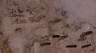 'An offering to energize the fields': 76 child sacrifice victims, all with their chests cut open, unearthed at burial site in Peru