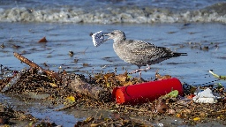 Democrats unveil 'most comprehensive plan ever' to address plastics problem