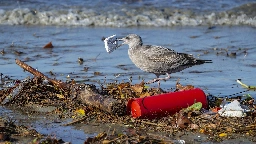 Democrats unveil 'most comprehensive plan ever' to address plastics problem