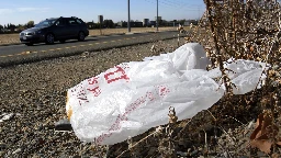 California governor signs law banning all plastic shopping bags at grocery stores