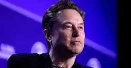 Elon Musk lawyer says $1 million voter giveaway winners are not random