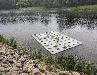 Floating Island Garden