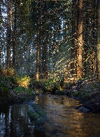 Finnish spring serenity [OC]