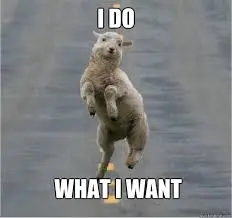 sheep standing on road while on its hind legs. Caption reads &quot;I do what I want&quot;