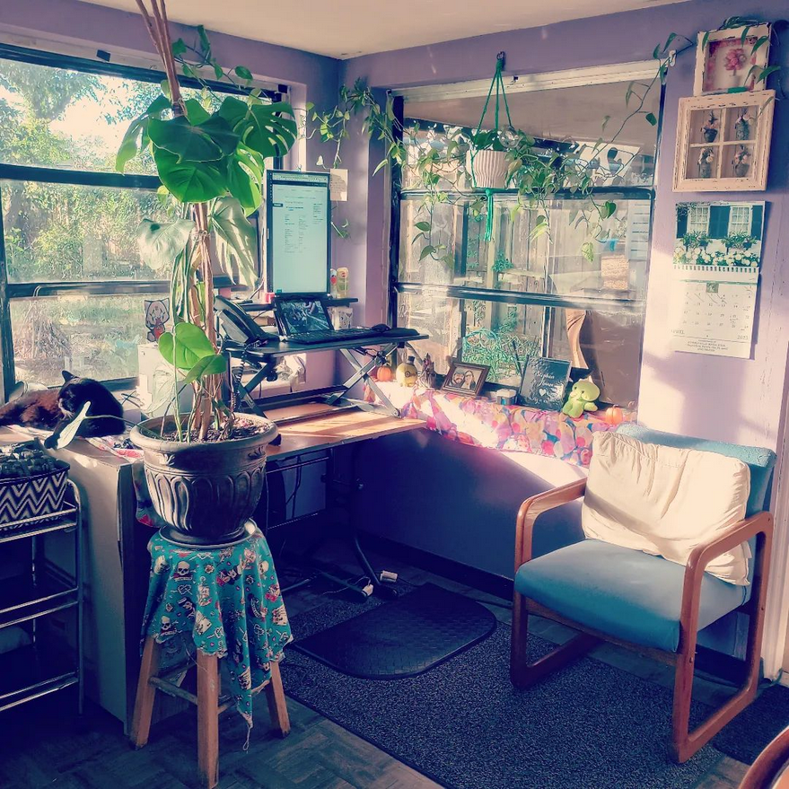 My office can make me feel pretty cottagecore in the mornings too.