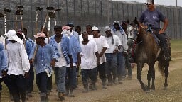 Prisoners fight against working in heat on former slave plantation, raising hope for change in South