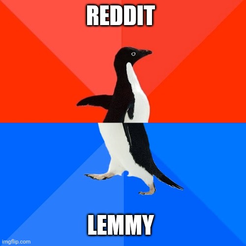 Socially Awesome Awkward Penguin