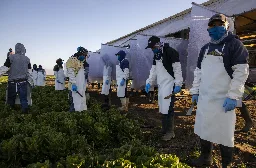 New protections empower H-2A agricultural workers to organize