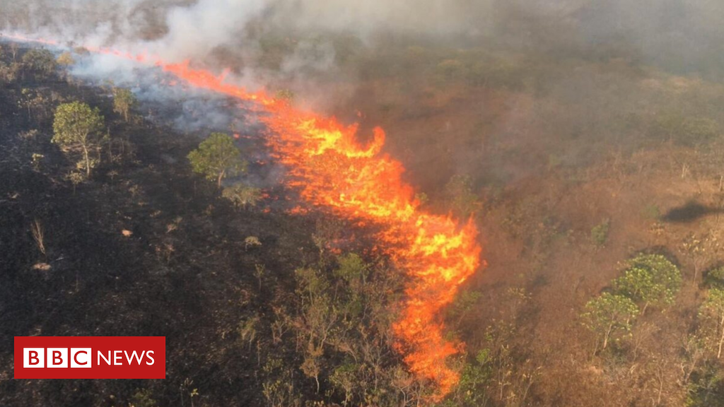 Brasil faz reunião do G20 sobre agro "sustentável" em cidade coberta por fumaça - BBC News Brasil